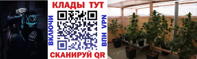 Названия наркотиков Старый Оскол ГАШИШ  Амфетамин  Меф мяу мяу  omg ссылка  COCAIN  Каннабис 