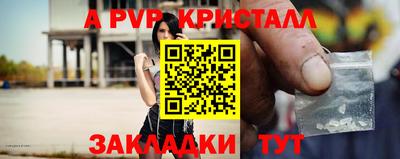 стаф Абакан