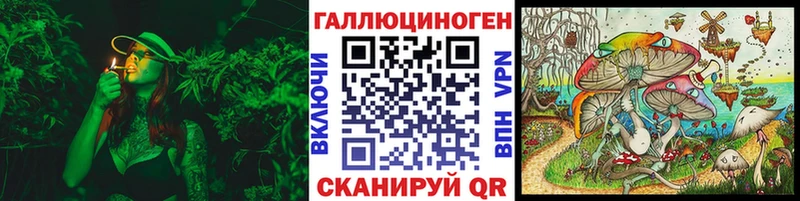 сколько стоит  Старый Оскол  Псилоцибиновые грибы Cubensis 