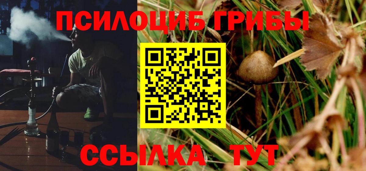 Псилоцибиновые грибы GOLDEN TEACHER  Вход с VPN  Старый Оскол 
