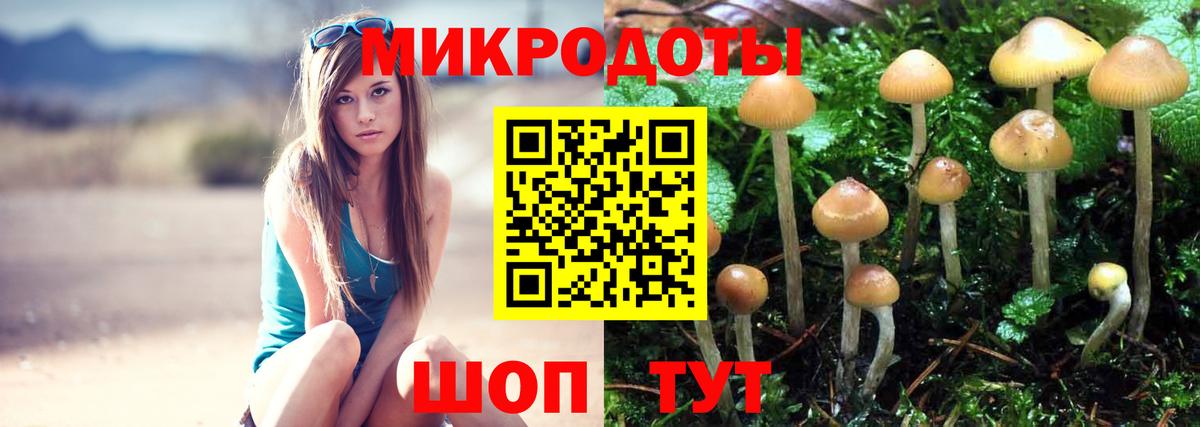 наркота  Старый Оскол  Галлюциногенные грибы Magic Shrooms  Псилоцибиновые грибы мухоморы 